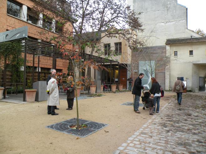  Terrasse du café Baleine, rue Cuvier